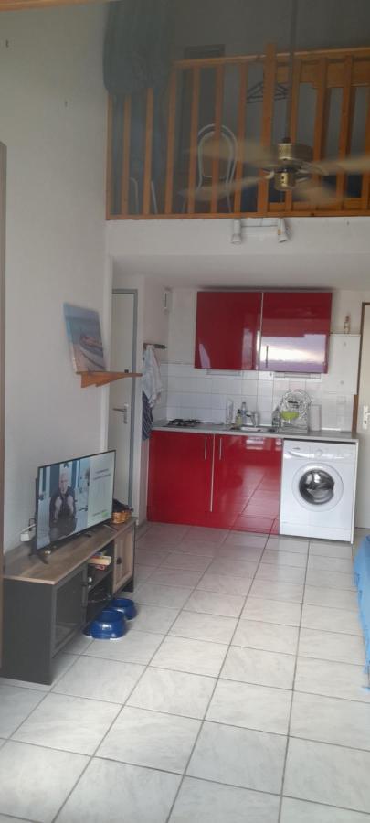 Charmant Duplex 3Eme Etage Avec Vue Imprenable Le Barcarès エクステリア 写真
